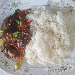 กระเพาไข่เยี้ยวม้า