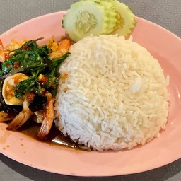 ผัดกะเพรากุ้ง / ราดข้าว