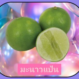 มะนาวแป้น 3ลูก