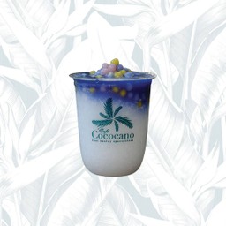 Bualoy Coconut Frappe with Butterflypea อัญชันมะพร้าวไร้นมบัวลอย