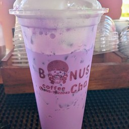 เผือกนมสด