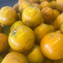 ส้มสายน้ำผึ้ง ภูเรือ ลูกใหญ่ 1กิโล 8-9-10ลูก