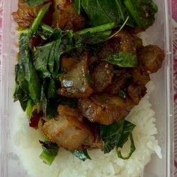 ข้าวคะน้าหมูกรอบ