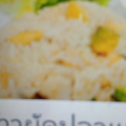 ข้าวผัดปลาแซลมอน