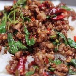 ผัดกระเพราเป็ด