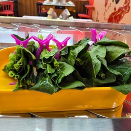 ผักปวยเล้ง