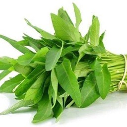 ผักบุ้ง