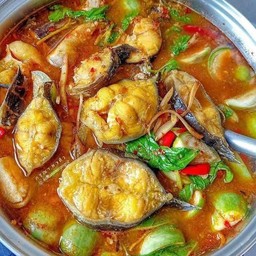 แกงป่าปลาดุก