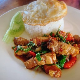 ข้าวราดกระเพราหมูกรอบ