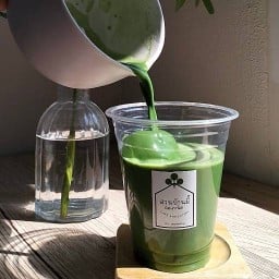 🍵Matcha-มัทฉะ สวนบ้านมี้🍵