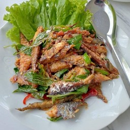 ผัดขี้เมาปลาทูใบโหระพา