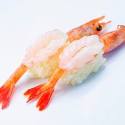 Amaebi Nigiri. กุ้งหวานนิกิริ
