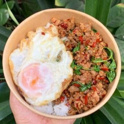 ฉุนกะเพรา