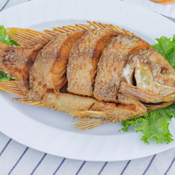 ปลาทับทิมสามรส