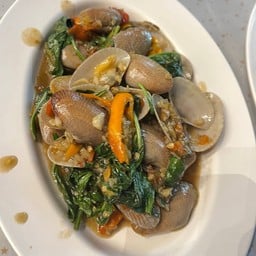 ผัดฉ่าหอยลาย