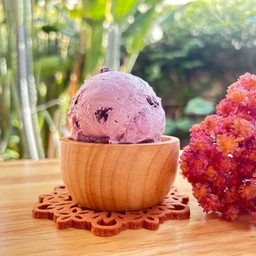 Blueberry  Greek Yogurt  (100 g.)