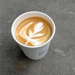 Cappuccino (H)