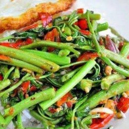 ผัดผักกระเฉด ราดข้าว