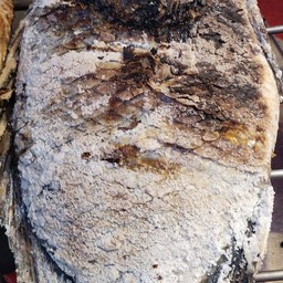 ปลานิลเผา