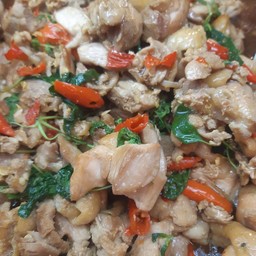 ผัดกระเพราไก่