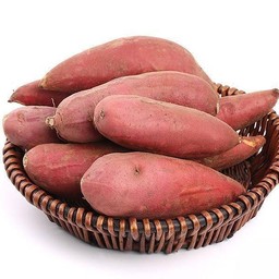 มันหวานเนื้อคัสตาร์ดสด