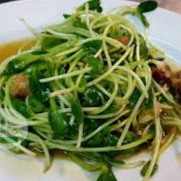 ยอดอ่อนทานตะวันผัดน้ำมันหอย