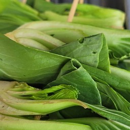 กวางตุ้งไต้หวัน (ชาบู)