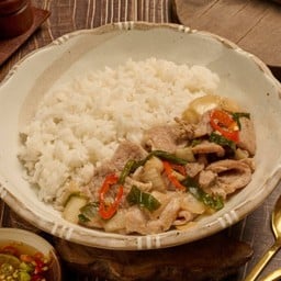 ไทยแท้หมูผัดน้ำมันหอย