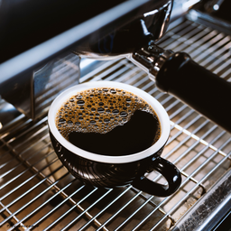 อเมริกาโน่ร้อน (Hot Americano)