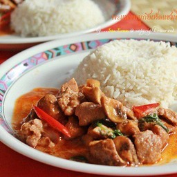 ผัดเครื่องแกงพะแนงราดข้าว