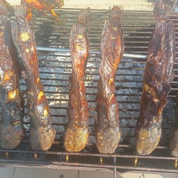 ปลาดุกย่าง