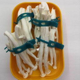 เห็ดชิเมจิ