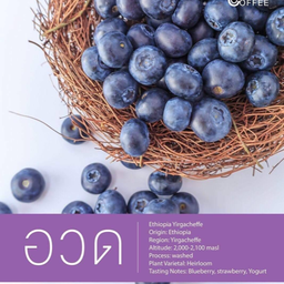 “อวด” Blueberry