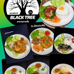 BLACK TREE✅ حلال‎ (ตามสั่ง)สาขา รพ.ยะลา BLACK TREE สาขา ศูนย์อาหาร รพ.ยะลา