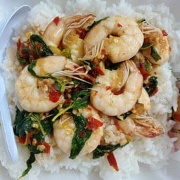 ผัดกะเพรากุ้ง