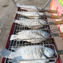 ชลธิชา ปลานิลเผา ชลธิชาปลานิลเผา