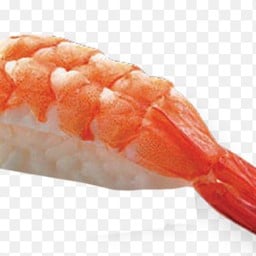 กุ้ง