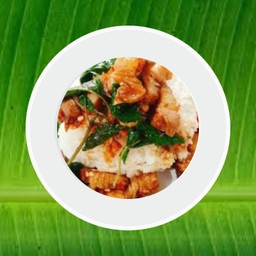 กะเพราหมูกรอบ