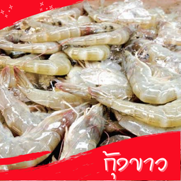 กุ้งขาว