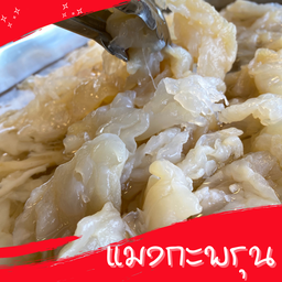 แมงกะพรุน