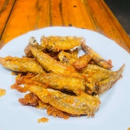 ปลายปีกเล็ก