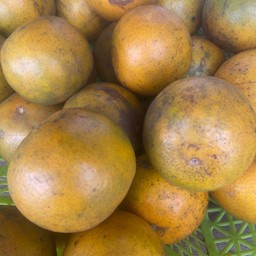 น้ำส้มคั้นสด(ไม่ปั่น)