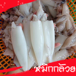หมึกกล้วย