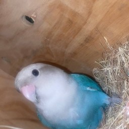 ทริปให้ น้องก้อนเมฆ