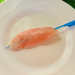 สันในไก่