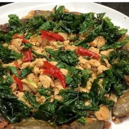 ข้าวกระเพราไก่ไข่เยี่ยวม้า