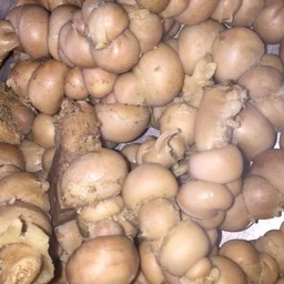 แกงอ่อมไส้ขอด