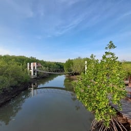 อุทยานสิ่งแวดล้อมนานาชาติสิรินธร