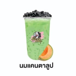 นมแคนตาลูป