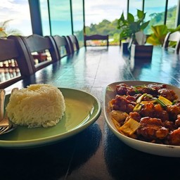 Chicken Cashew Nuts & Jasmine Rice 
